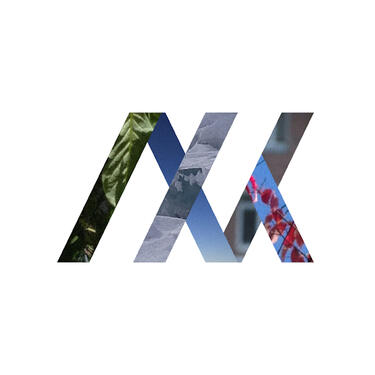 Ammiak | Music project